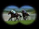 La course de chevaux