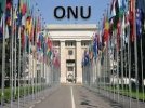 ONU Suite