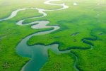 La politique, un long fleuve tranquille