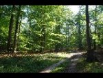 Oise (60)