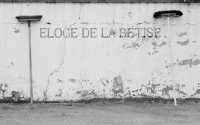 Pauvre Carmen ! La bêtise l'emportera-t-elle sur l'intelligence ?