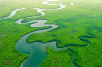 La politique, un long fleuve tranquille