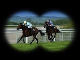 La course de chevaux