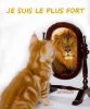 L'air et la chanson